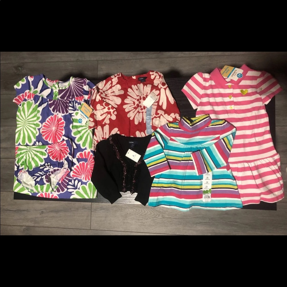 6 piece baby girl bundle